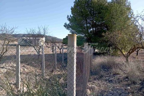 Finca i Caudete, Albacete, Caudete - € 29.995 | Ref: SF0480 - foto 9